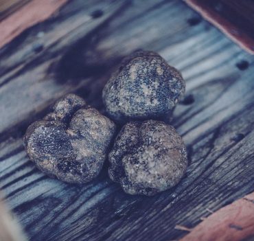 Black truffle Perigord (Tuber Melanosporum)